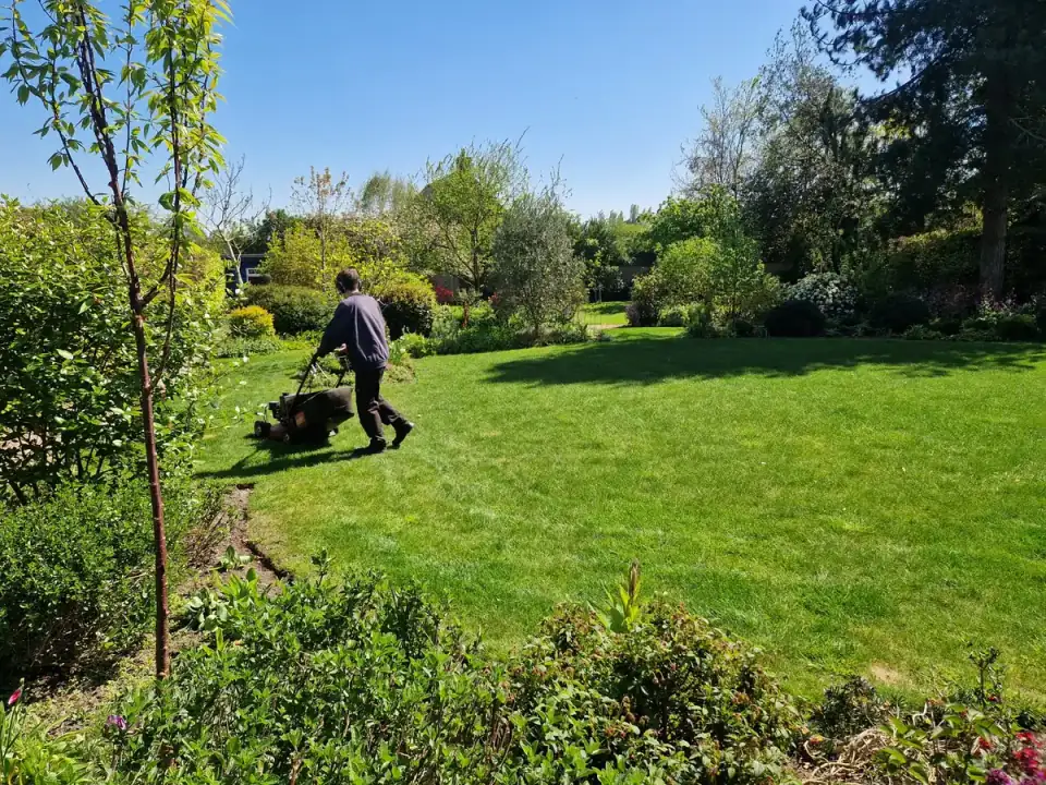 Residential lawn mowing with sharp edges in Ash village near Canterbury, Kent — Kent Mowing