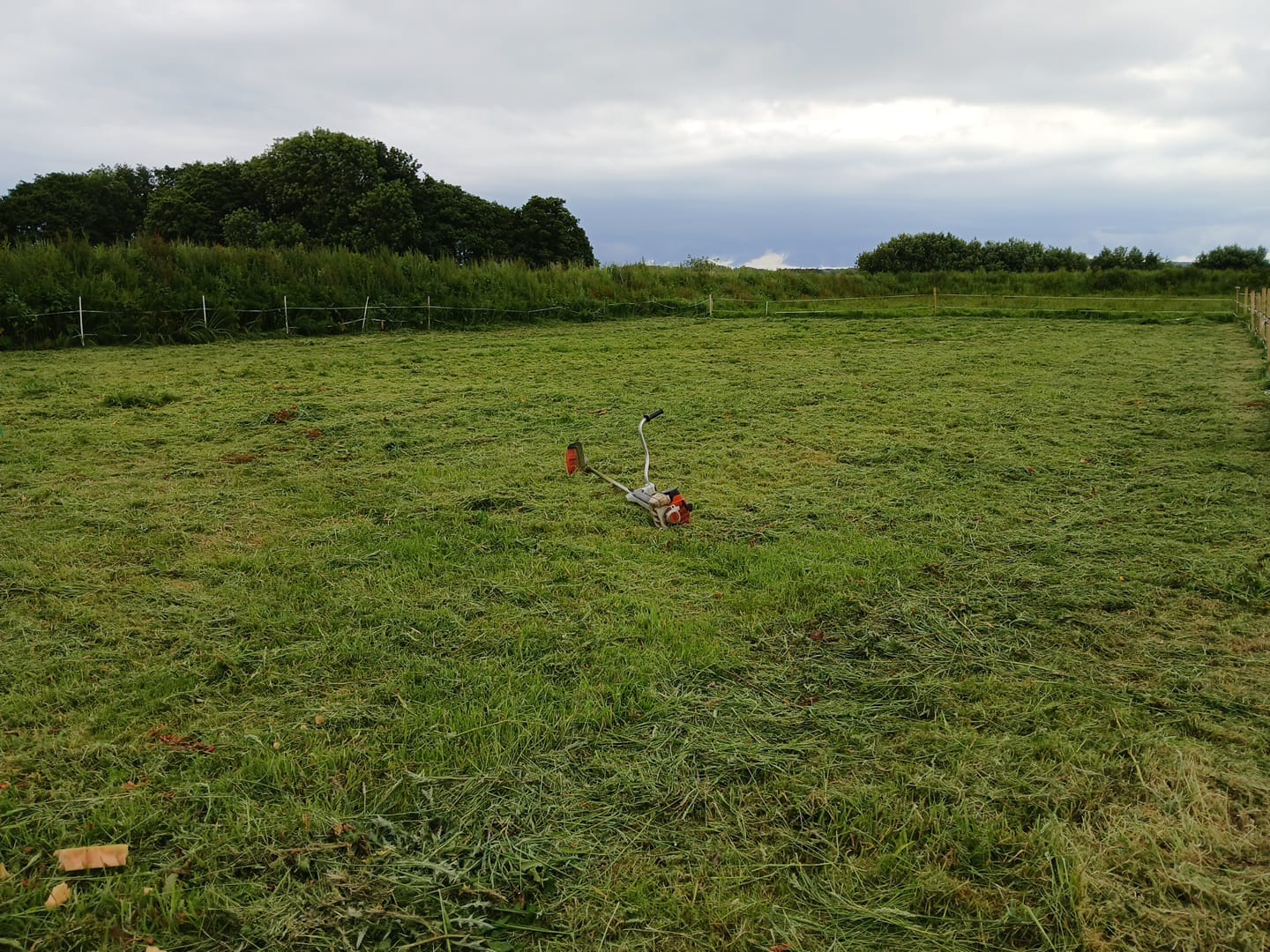 Large equestrian plot mowing — Kent Mowing