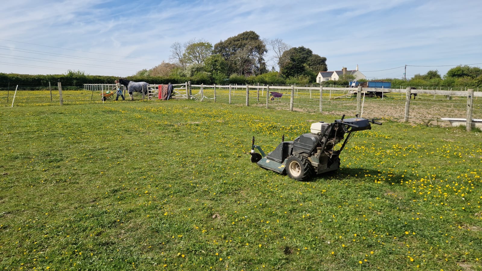 Horse paddock topping to control creeping buttercup before seeding in Finglesham near Deal, Kent — Kent Mowing