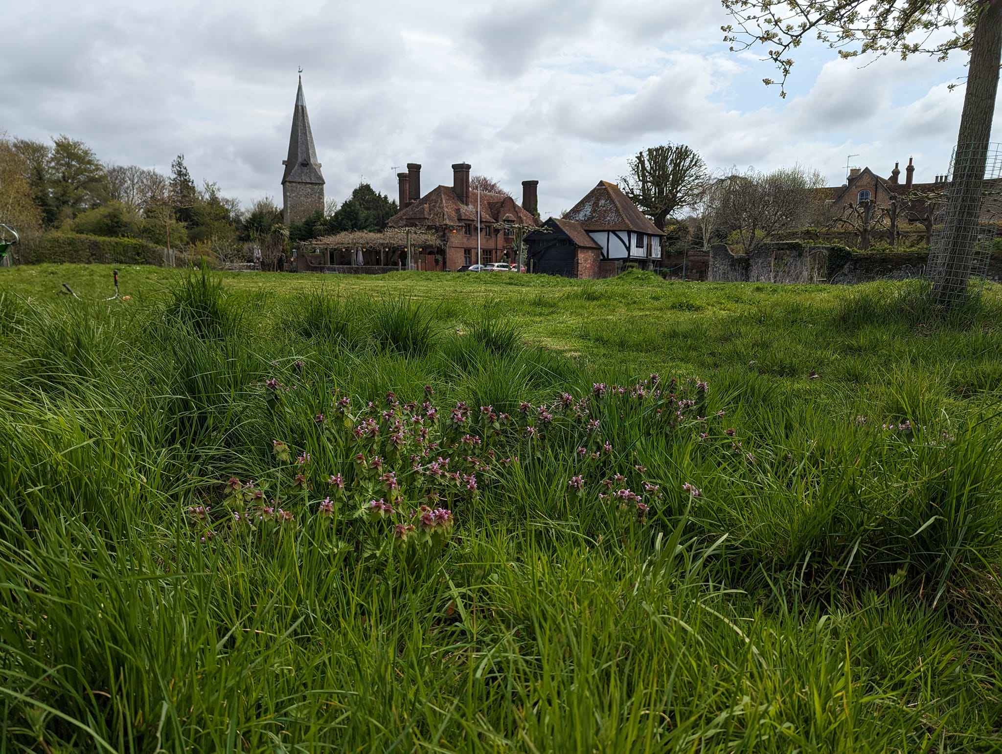 Crisp meadow finish in Fordwich — Kent Mowing