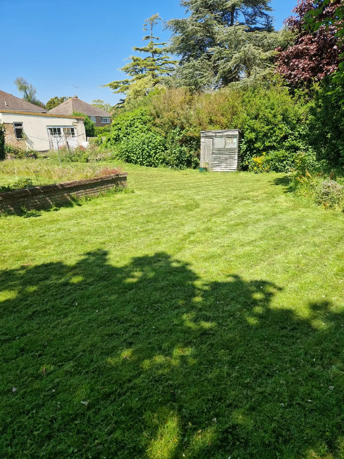 Professionally cut lawn after overgrown grass clearance in Kingsdown near Deal, Kent — Kent Mowing