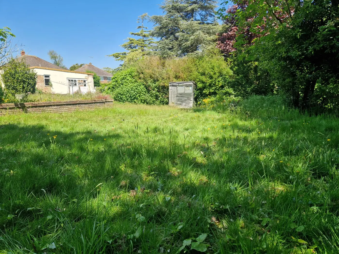 Overgrown residential lawn with foot-high grass before first cut of the year in Kingsdown near Deal, Kent — Kent Mowing