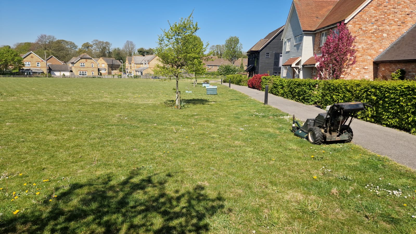 Commercial new-build estate grounds maintenance at Pegwell Bay, Kent showing well-maintained communal lawns — Kent Mowing