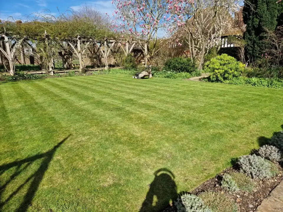 Classic professional lawn striping in East Kent autumn sunlight showing alternating dark and light grass blade patterns — Kent Mowing