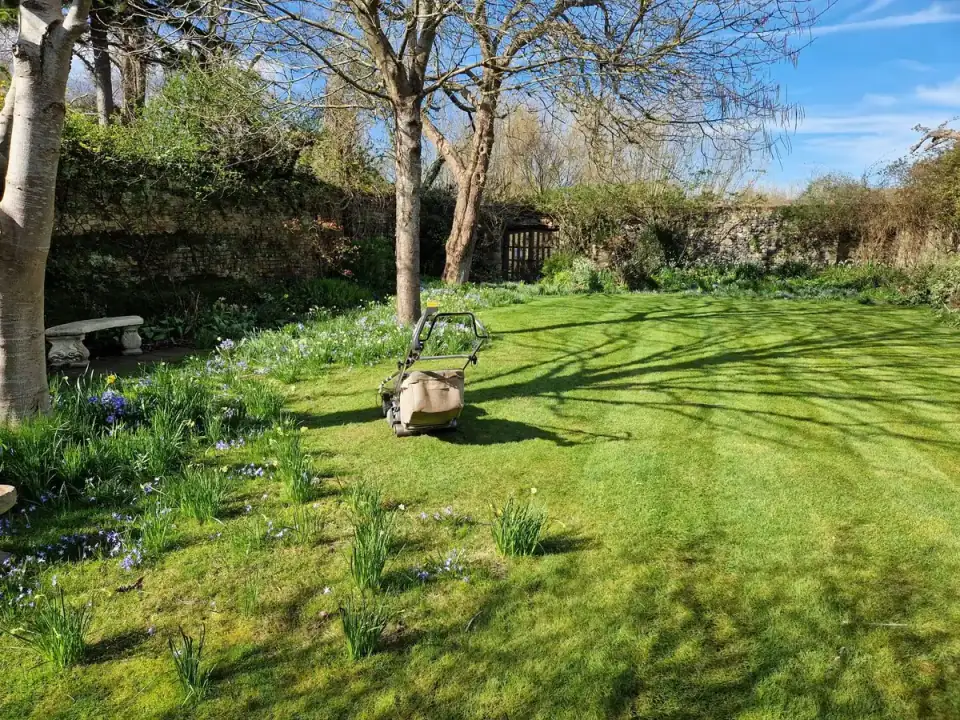 Residential garden lawn mowing with clean edges and professional finish in Canterbury, Kent — Kent Mowing