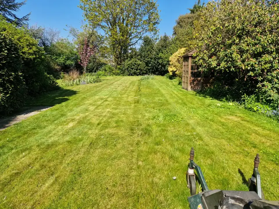 Professionally cut residential lawn after first mow of the year in Walmer, Deal, Kent — Kent Mowing